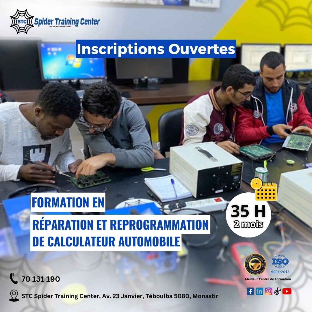 Repair And Reprogramming Of The Automotive Computer